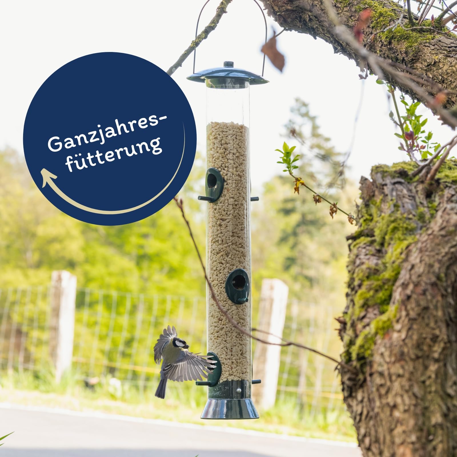Lyra Pet® | 25 kg Erdnusskerne weiß gehackt | Ideal für Kleine Vögel & Jungtiere | Wildvogelfutter für Sommer & Winter | Fetthaltig & Nährstoffreich | Energiespender für Wildvögel | Gehackte Erdnüsse