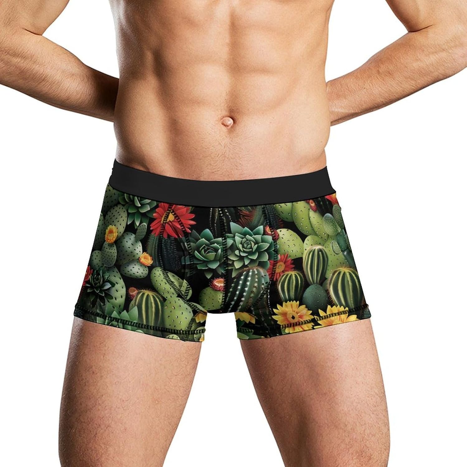 Cactus Plants Novelty Men's Trunks Soft Breathable Underwear Patterned Stretch Briefs