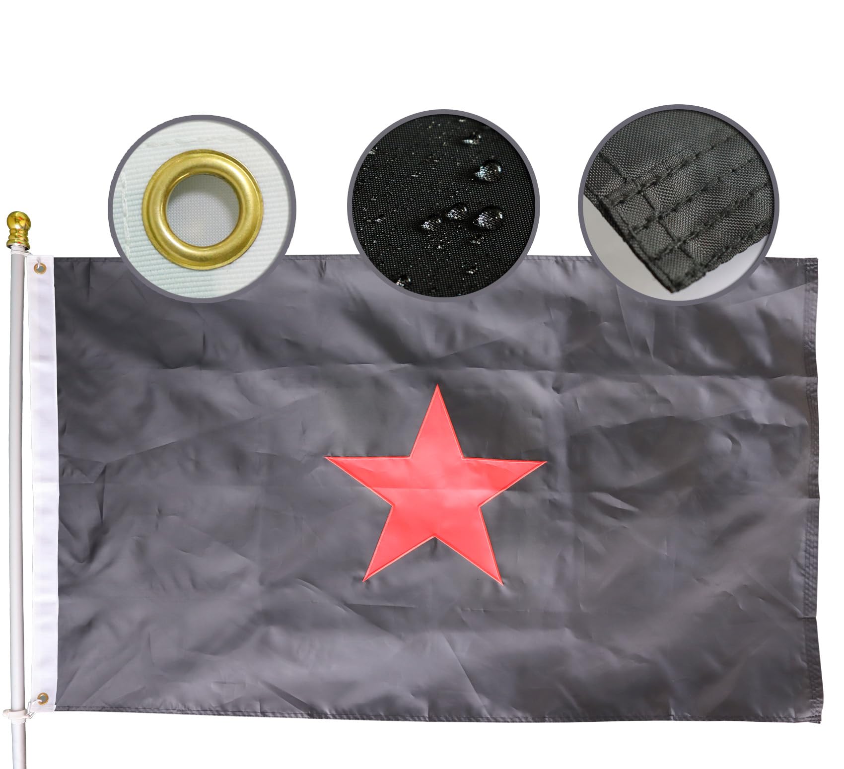 標本 Mexico Gymnetis s.p 23mm Amazon.com : Premium EZLN Mexico Flag 3x5 Ft Large,Embroidered Red