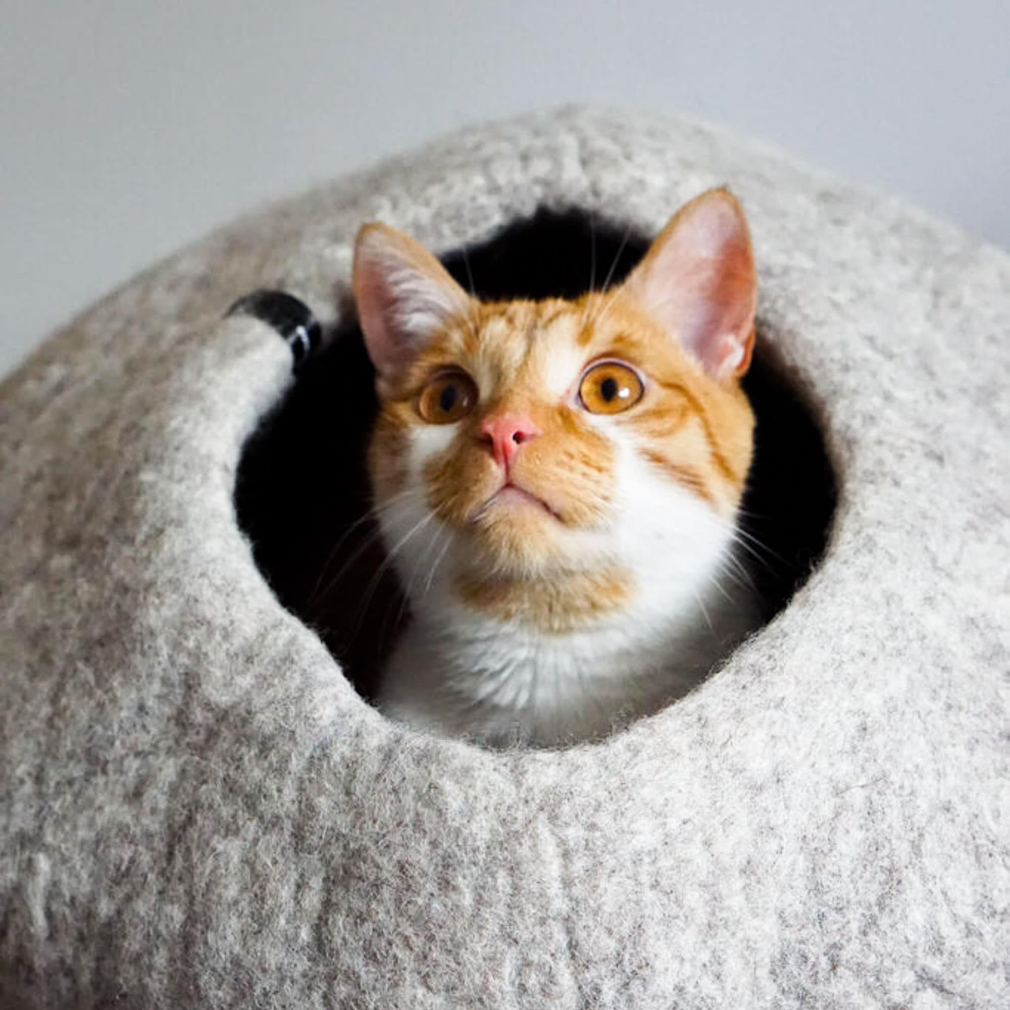 LucyBalu® Grotte lit pour Chat en Laine Naturelle I Gris Clair