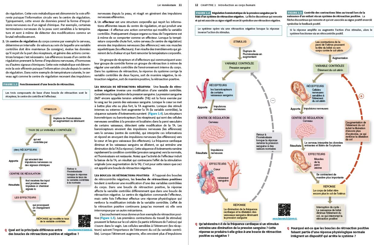 Anatomie et physiologie humaines