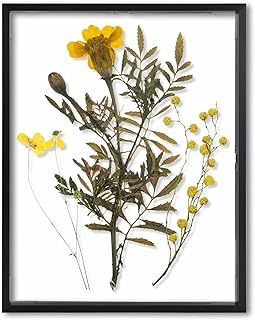 Frametory, Floating Picture Frame 11x14 - Black Metal Photo Frame - Real Glass - for Wall Mount or Tabletop Displays