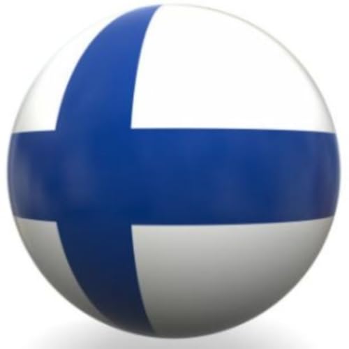 English Finnish BiTranslator