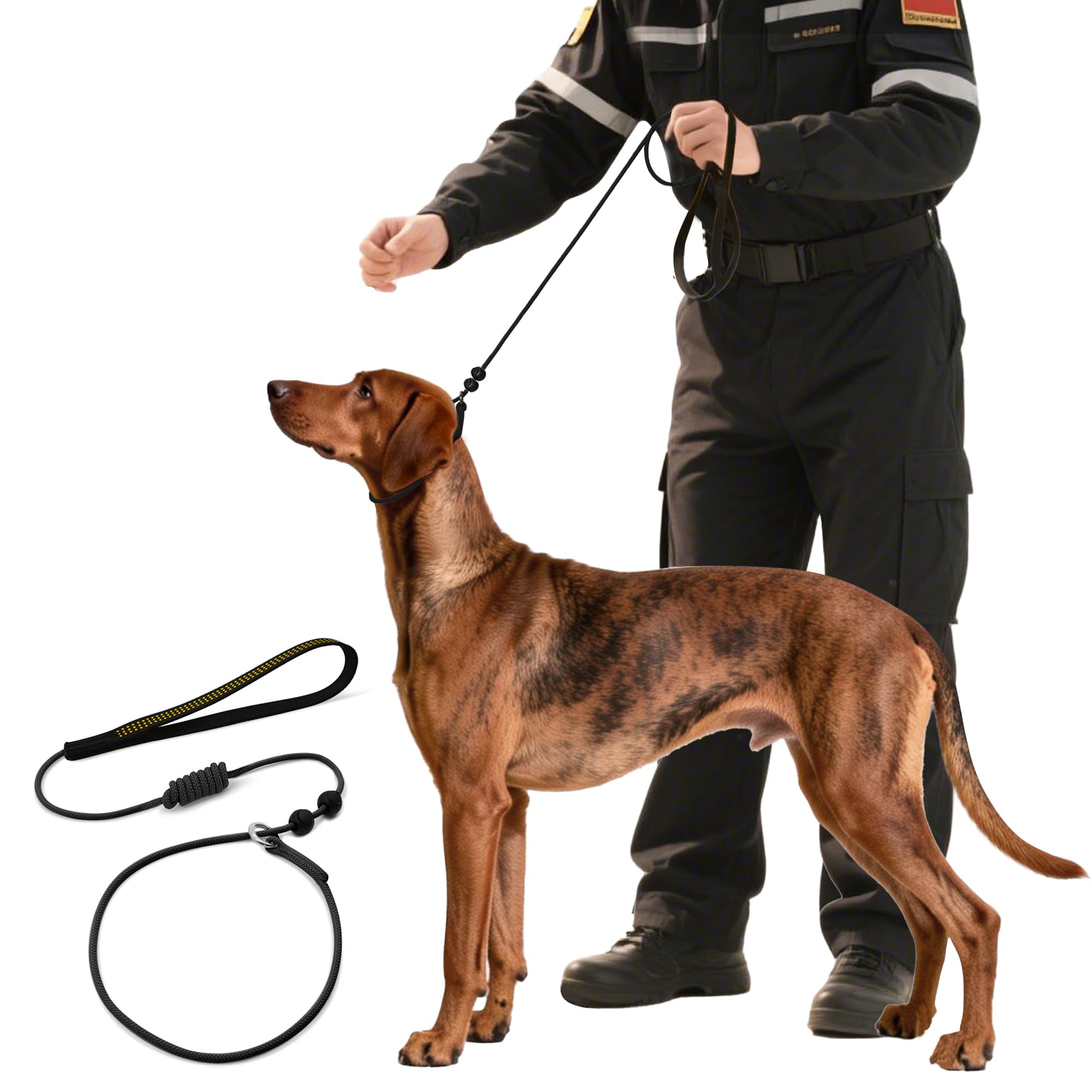 Slip Dog Leash for Small Medium Dogs Puppies Lightweight Thin but Sturdy Adjustable Slip Lead Soft and Slim 180cm Long 0.5cm Wide (Black, 1.8M Long)