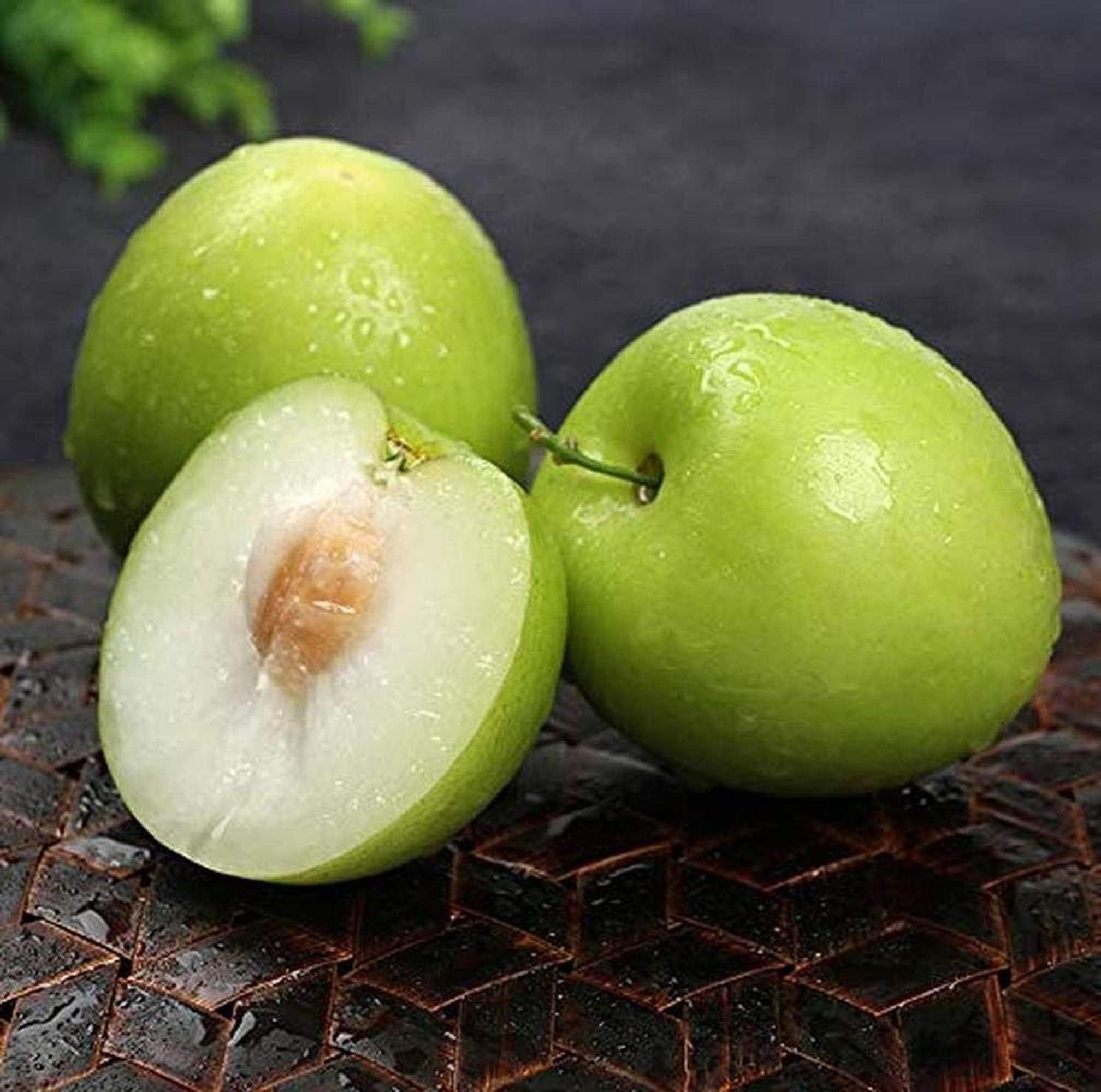 CHUXAY GARDEN Green Giant Sweet Jujube Fruit 20 Seeds Apple Jujube Delicious Fresh Fruit Gardening Grows in Garden and Pots