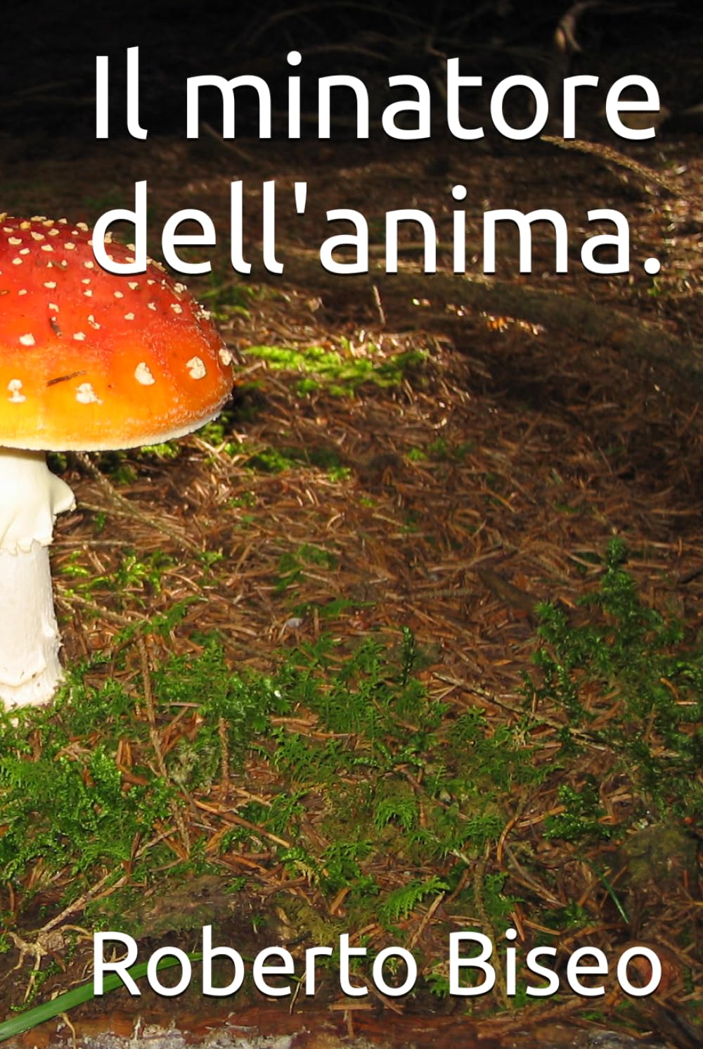 Il minatore dell'anima.
