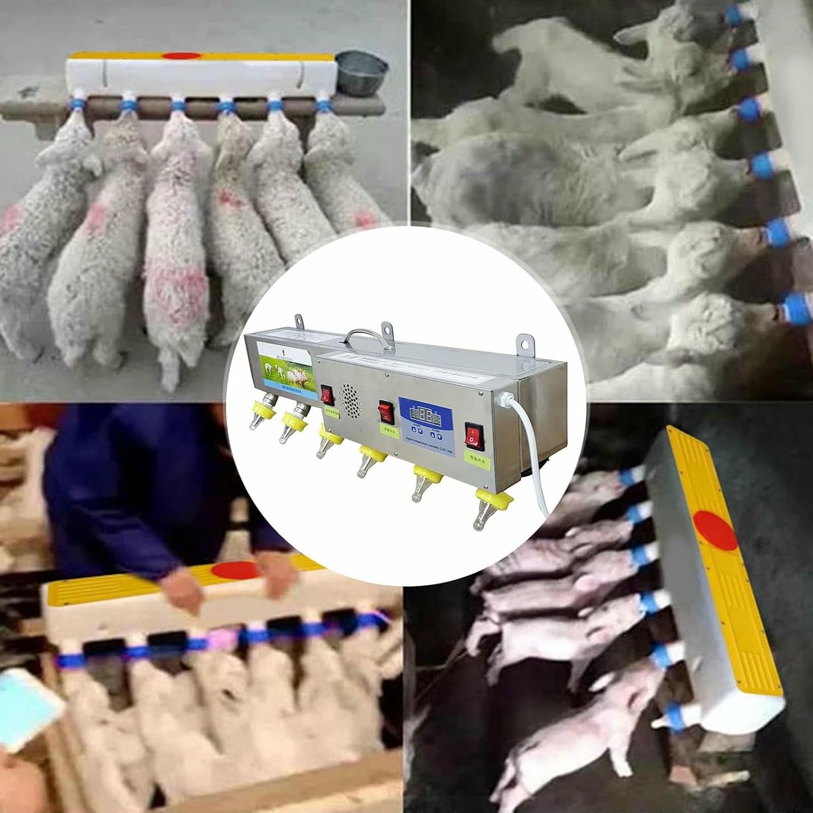 Comederos automáticos de pezones para lechones y corderos, alimentador de leche con sonido simulado, ideal para la cría de granja y gestión de la lactancia del ganado, paquete de 6