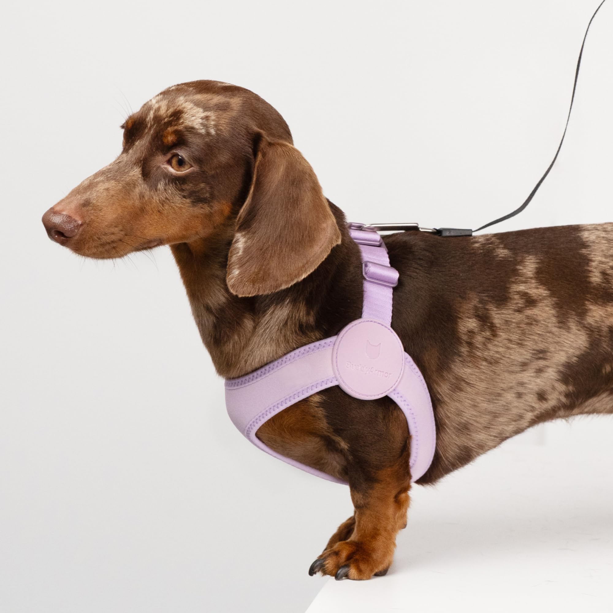 Harnais ultra confortable, réglable et doux, avec fermeture à boucle en alliage, léger et extensible pour chien de petite taille, pour la promenade et le dressage (noir minuit, taille L, 48