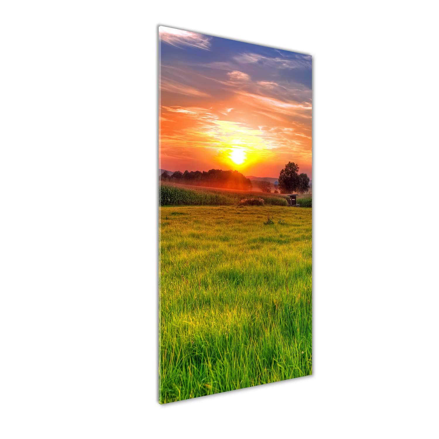 Impression sur verre acrylique Tulup 50x125 : l'excellence du mural art pour votre déco