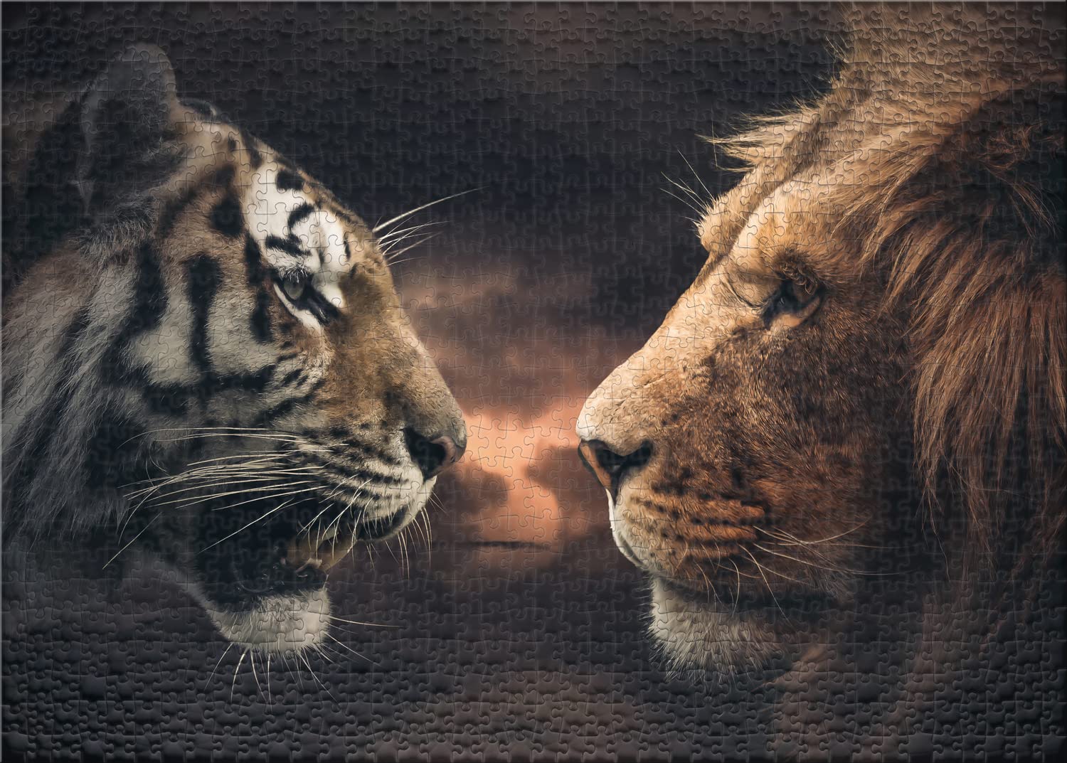 Ulmer Puzzleschmiede - Puzzle 'Rumble in The Jungle' - 2000 Piece Modern Animal Puzzle for Adults, Gelegte Puzzle-Größe: 96,6 x 69,2 cm - Image 2