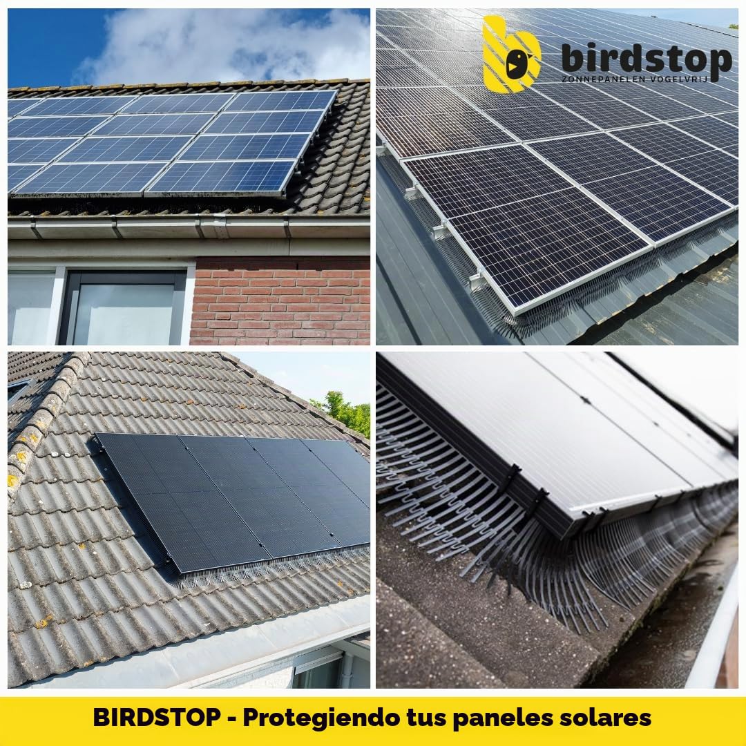 Set de protección solar Birdstop XL, sistema de energía fotovoltaica para repeler palomas - Protección solar contra aves y palomas - 30 metros, 18 cm de altura, 4 piezas de esquina y fijación