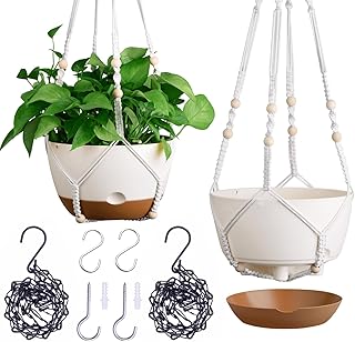 montresor Set of 2-8 Inch Hanging Planters for Indoor Plants with Self-W...