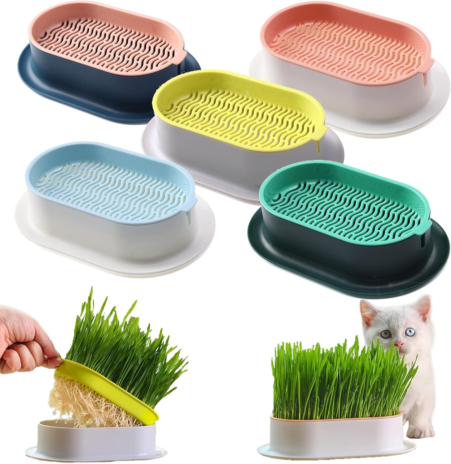 WFLWLHH Hydroponic Cat Grass Planter, Capacity Cat Grass