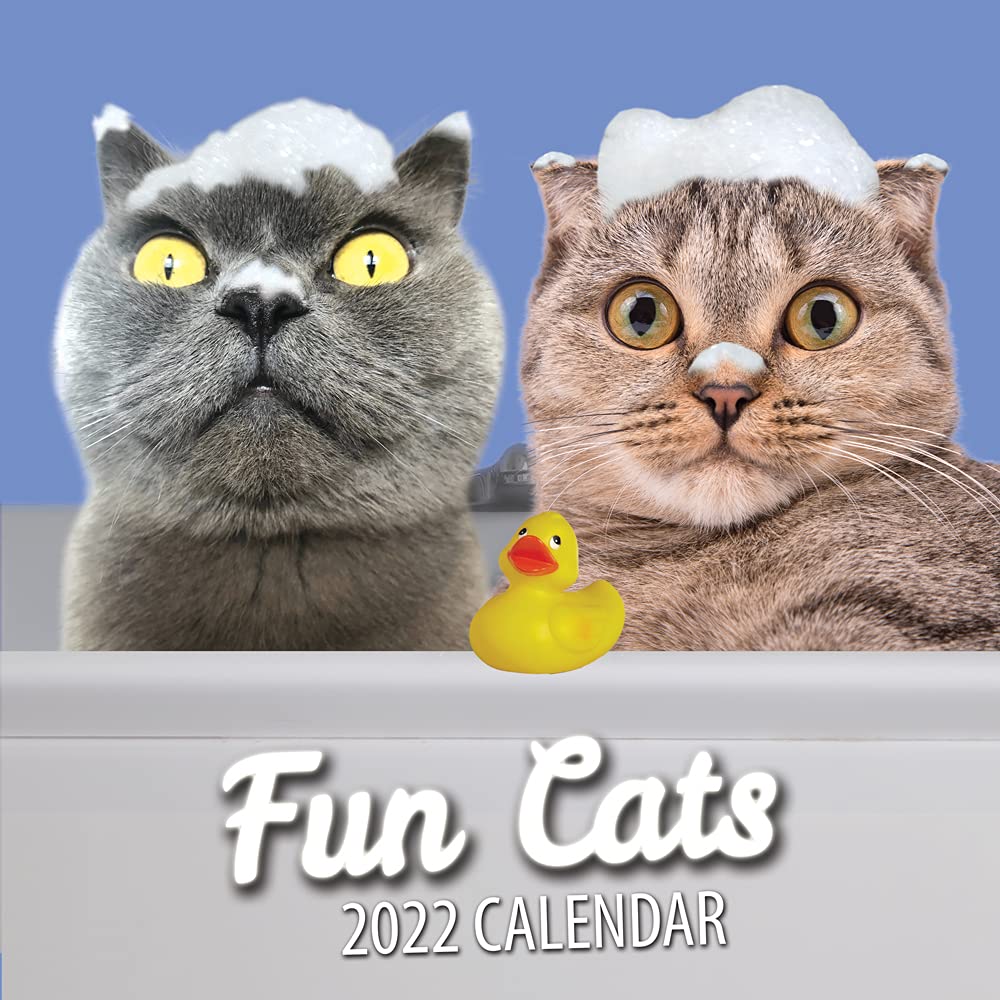 Cat Calendar 2022 Wall Planner – Fun Cats Funny Calendar Family Organiser. Secret Santa & Stocking Filler Christmas Gift