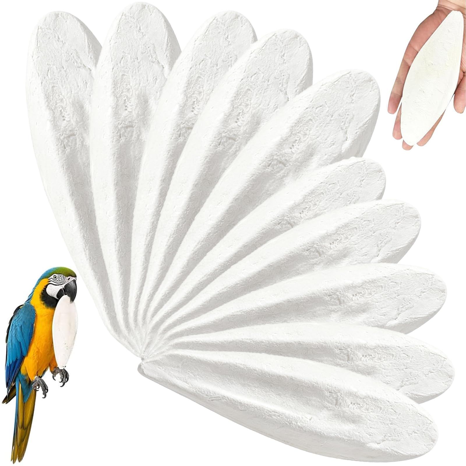 SurPse 10-Piece Cuttlefish Bone for Tortoise, Cuttlefish Bone, Cuttlefish for Birds, Mixed Size 8-12cm Cuttlebone for Birds, Tortoise and Snails, Pet Cage Accessory