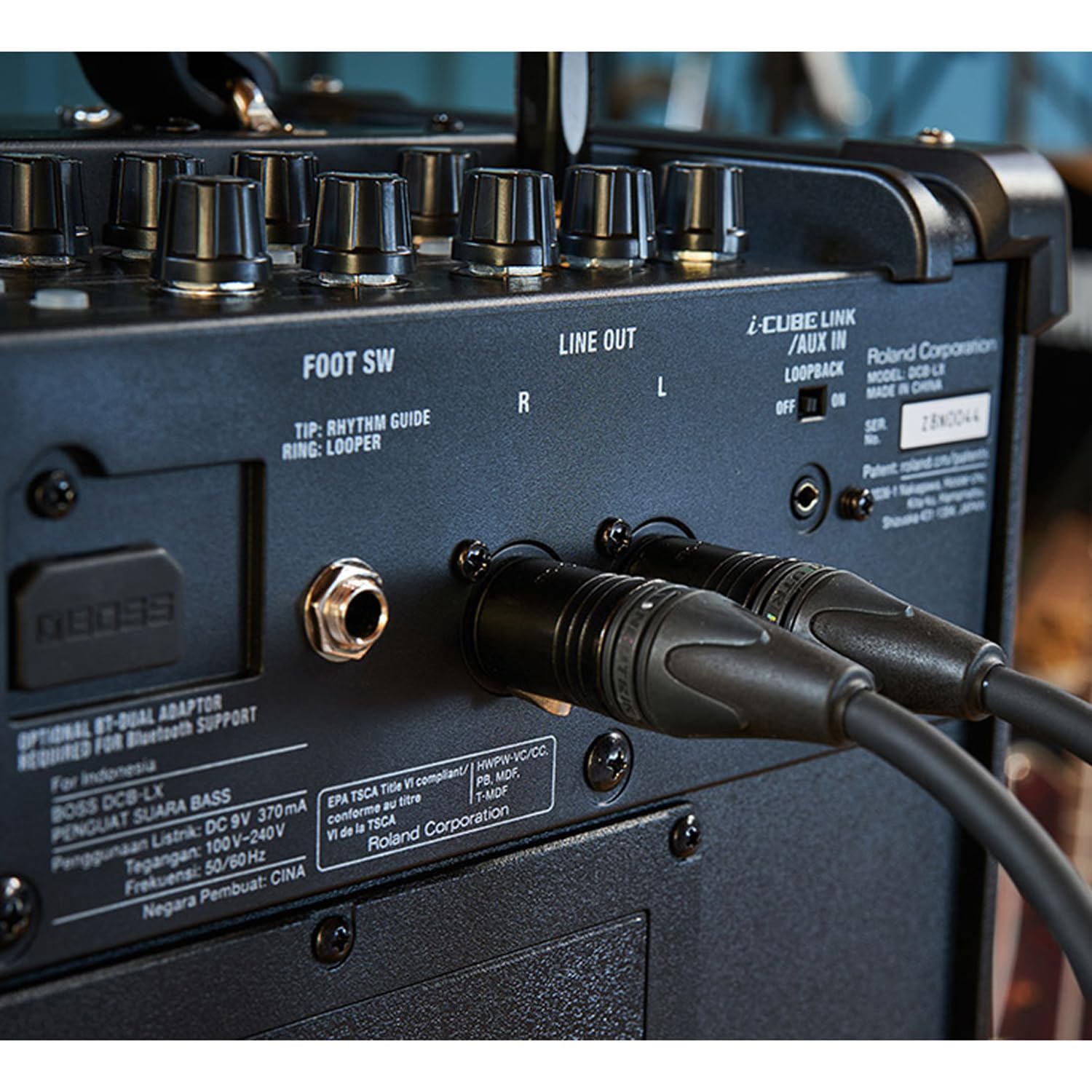 Boss Dual Cube Bass LX Bass-Verstärker mit BT-Dual Bluetooth Adapter und keepdrum Kabel