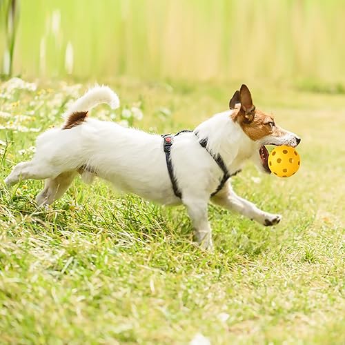 Miniatura 7 de Coopay Paquete de 14 pelotas de béisbol para práctica de béisbol, bolas suaves huecas de plástico para golpe, entrenamiento de béisbol, uso en