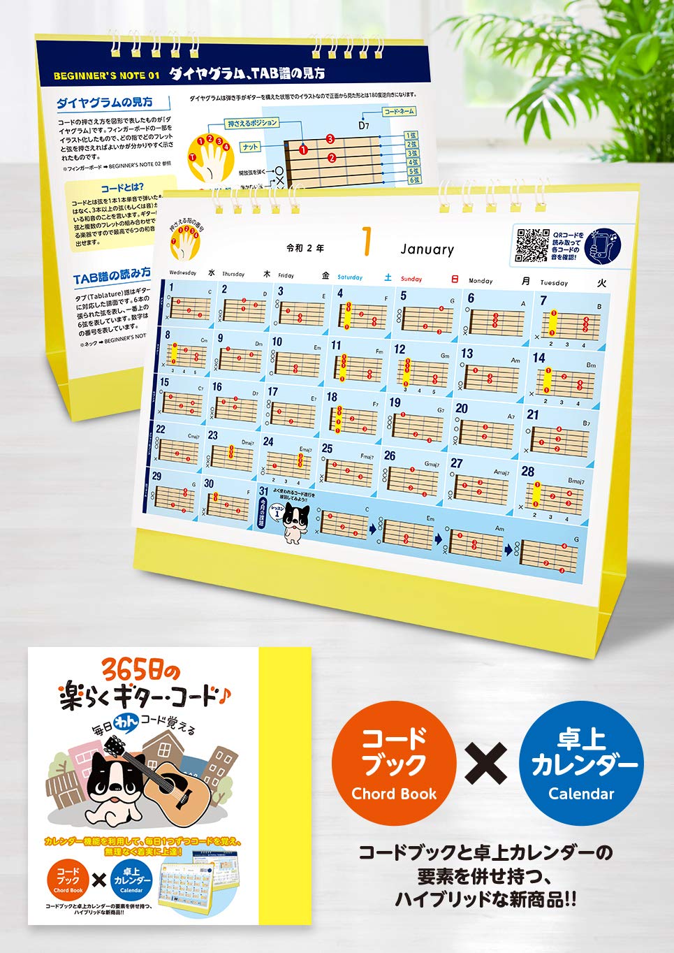 毎日“わん 毎日“わん