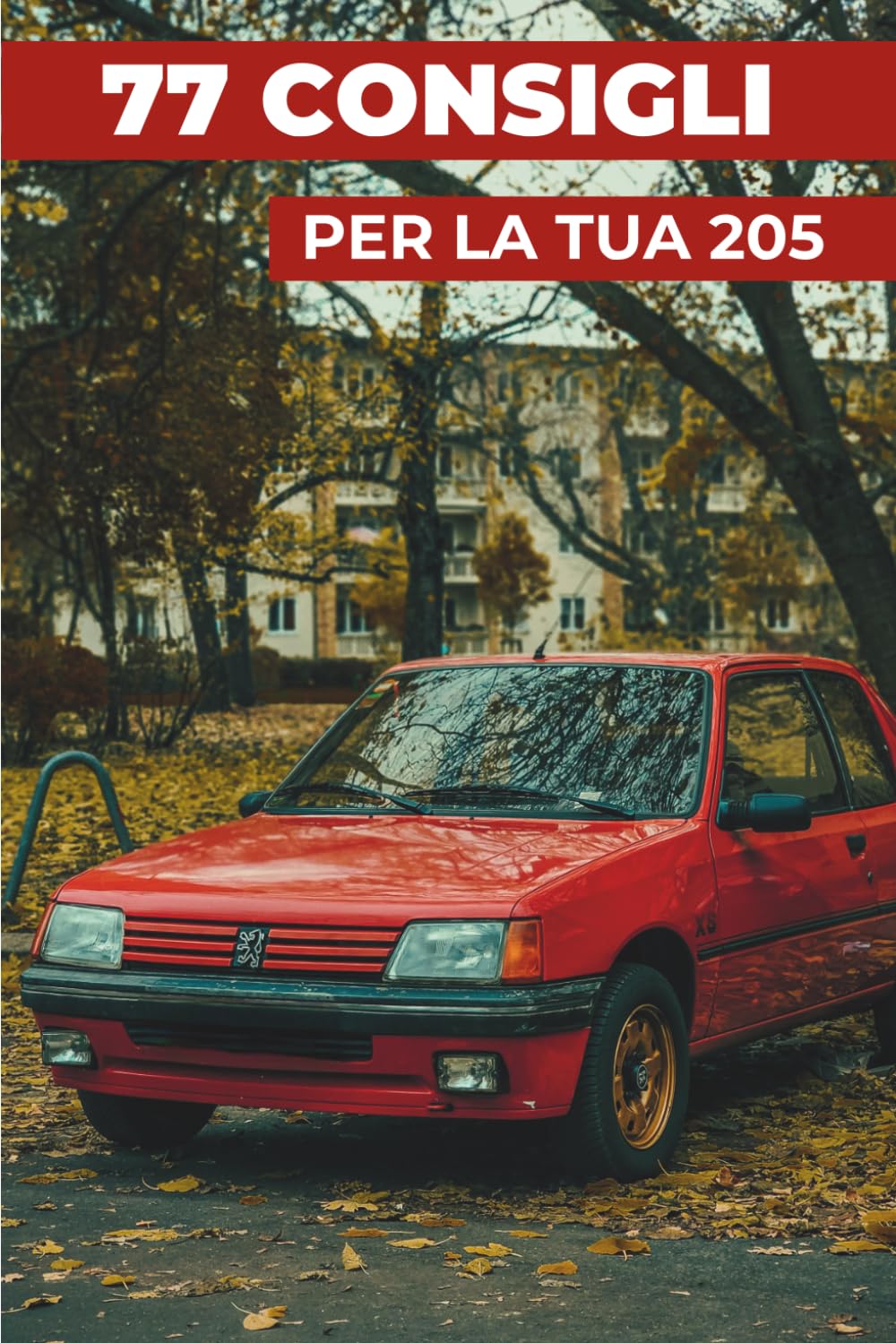 77 CONSIGLI PER LA TUA 205: “I segreti meglio custoditi”