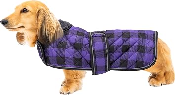 Geyecete Waterproof Warm Thermal Quilted Dachshund Coat with Warm Fleecy Lining Inside,Outdoor Dog Apparel with Adjustable Bands for Small,Medium Dog-Purple-S