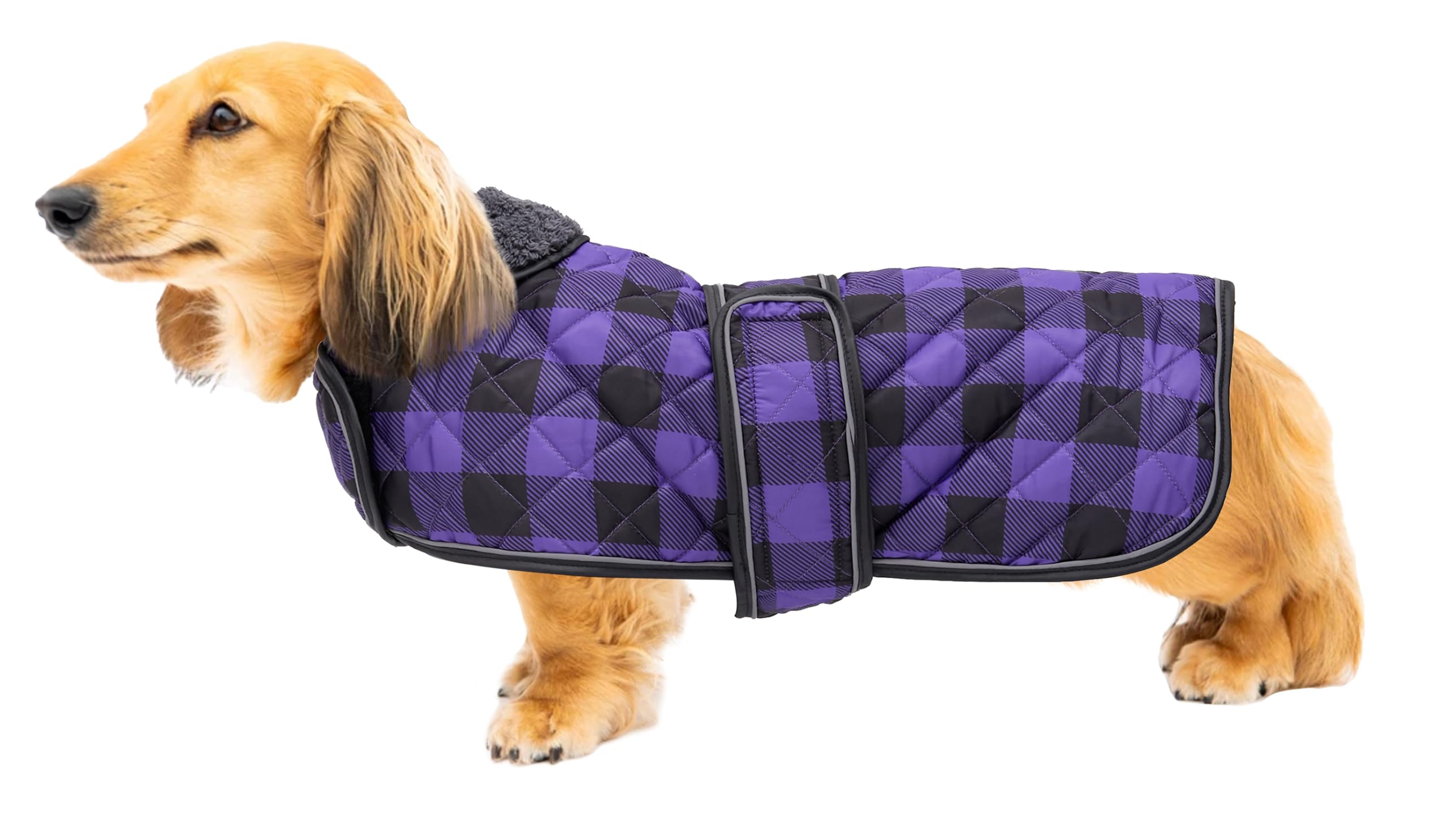 Geyecete Waterproof Warm Thermal Quilted Dachshund Coat with warm fleecy lining inside,Outdoor Dog Apparel with Adjustable Bands for Small,Medium Dog-Purple-M