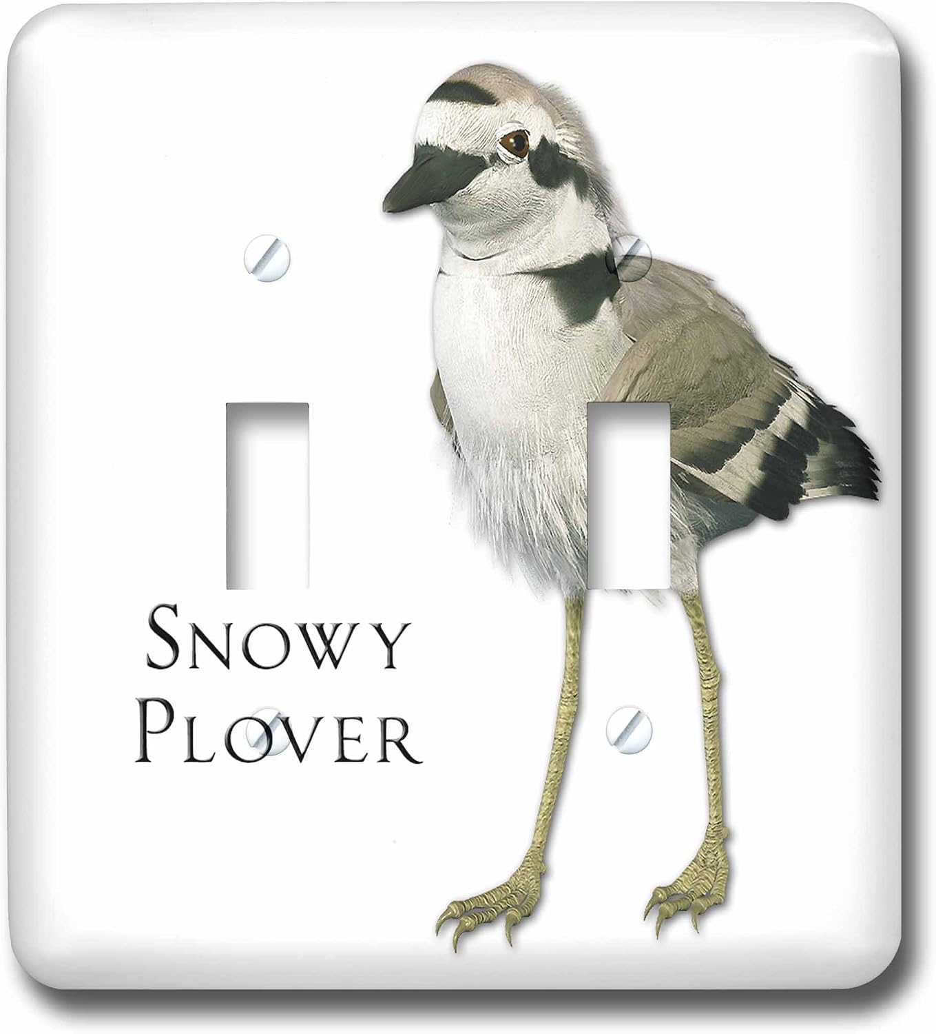 3dRose lsp_51597_2 Snowy Plover Shorebird - Double Toggle Switch