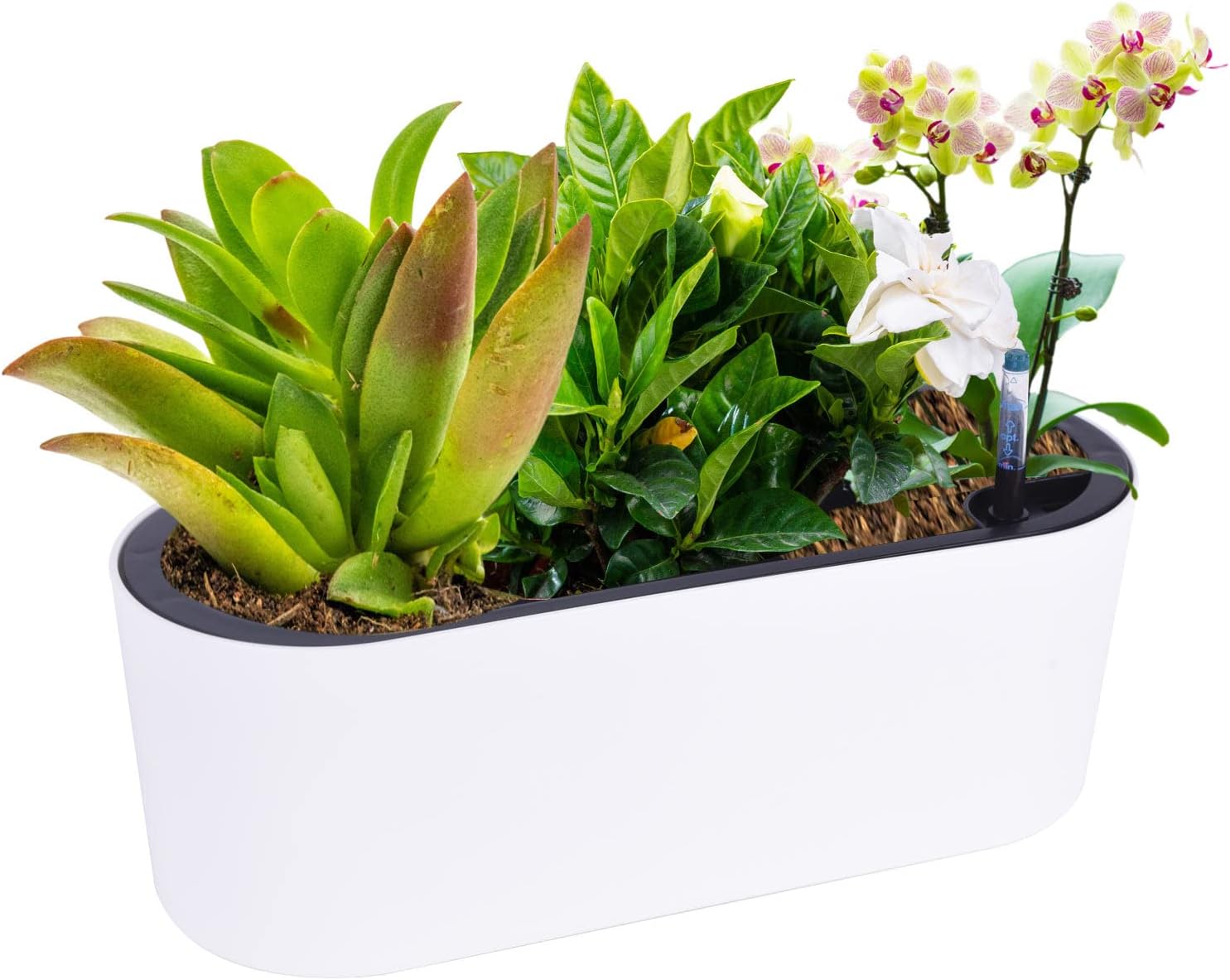Vencer 16.5 Inch Rectangular Modern Self Watering Planters with Drain Hole and Water Indicator,Planter Pot for Indoor Outdoor Plants,Office Desktop Potted Stand,White,VF-A17-W