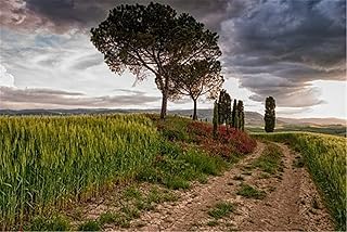 Jigsaw Puzzles 1500 Pieces - Puzzle for Adults - Unique Jigsaw Puzzles – Countryside farmland - Colorful and Challenging 1500-Piece Puzzle – Thick Cardboard with Premium Printing-87x57cm(34.25x22.44i