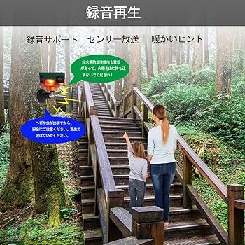 【foil】害獣駆除　英語　4枚セット foil】害獣駆除 英語 4枚セット foil害獣駆除 英語 4枚セット
