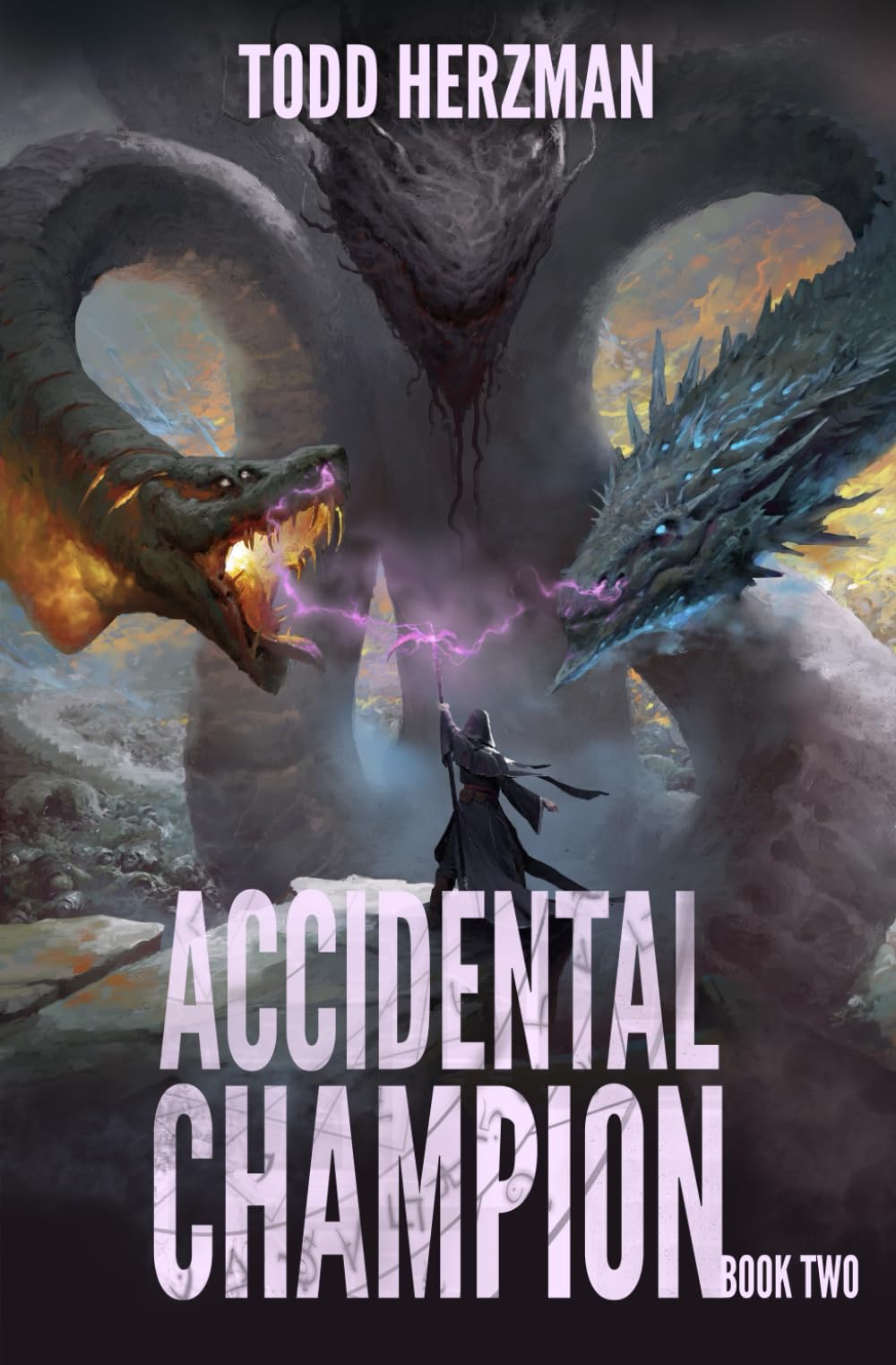 Accidental Champion 2: A LitRPG Adventure