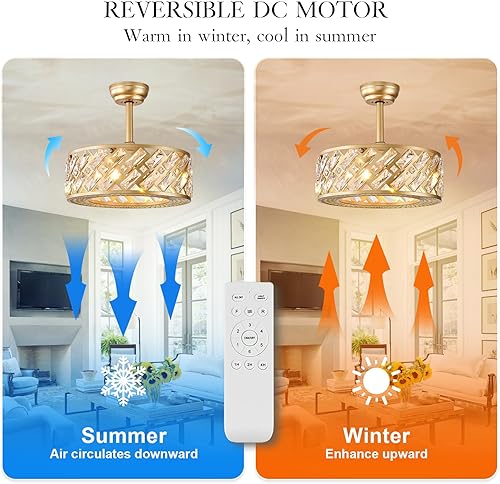 Miniatura 2 de CATINER Ventiladores de techo enjaulados de cristal con luz, ventilador de techo sin aspas de 18 pulgadas con control remoto, ventilador de techo