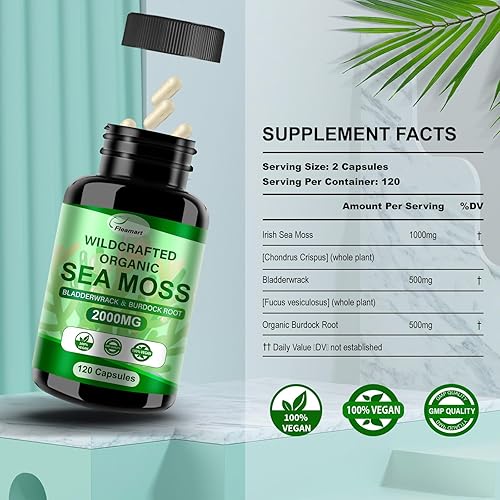 Miniatura 3 de Cápsulas de musgo marino irlandés con musgo marino crudo y vejiga silvestre y raíz de bardana píldoras de musgo marino, 120 cápsulas, 2 paquetes