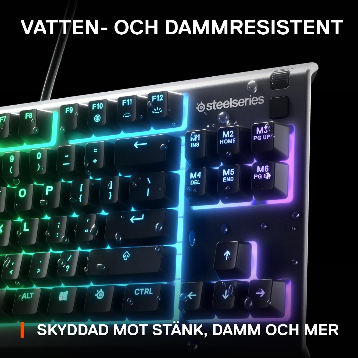 Vue 5