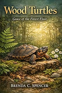 Wood Turtles: Grace of the Forest Floor