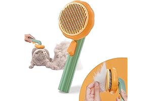 Pumpkin Pet Brush for Dogs