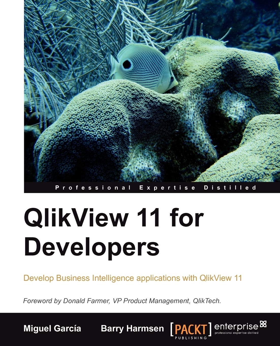 QlikView 11 Developer's: Develop Business Intelligence Applications With Qlikview 11 Paperback – Import, 31 October 2012