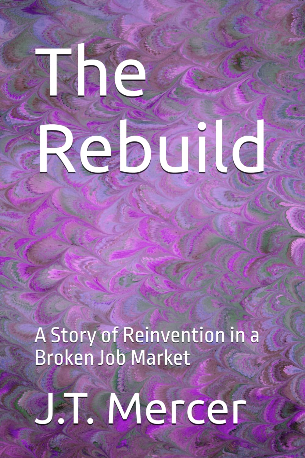 The Rebuild: A Story of Reinvention in a Broken Job Market (Career Recovery Series)