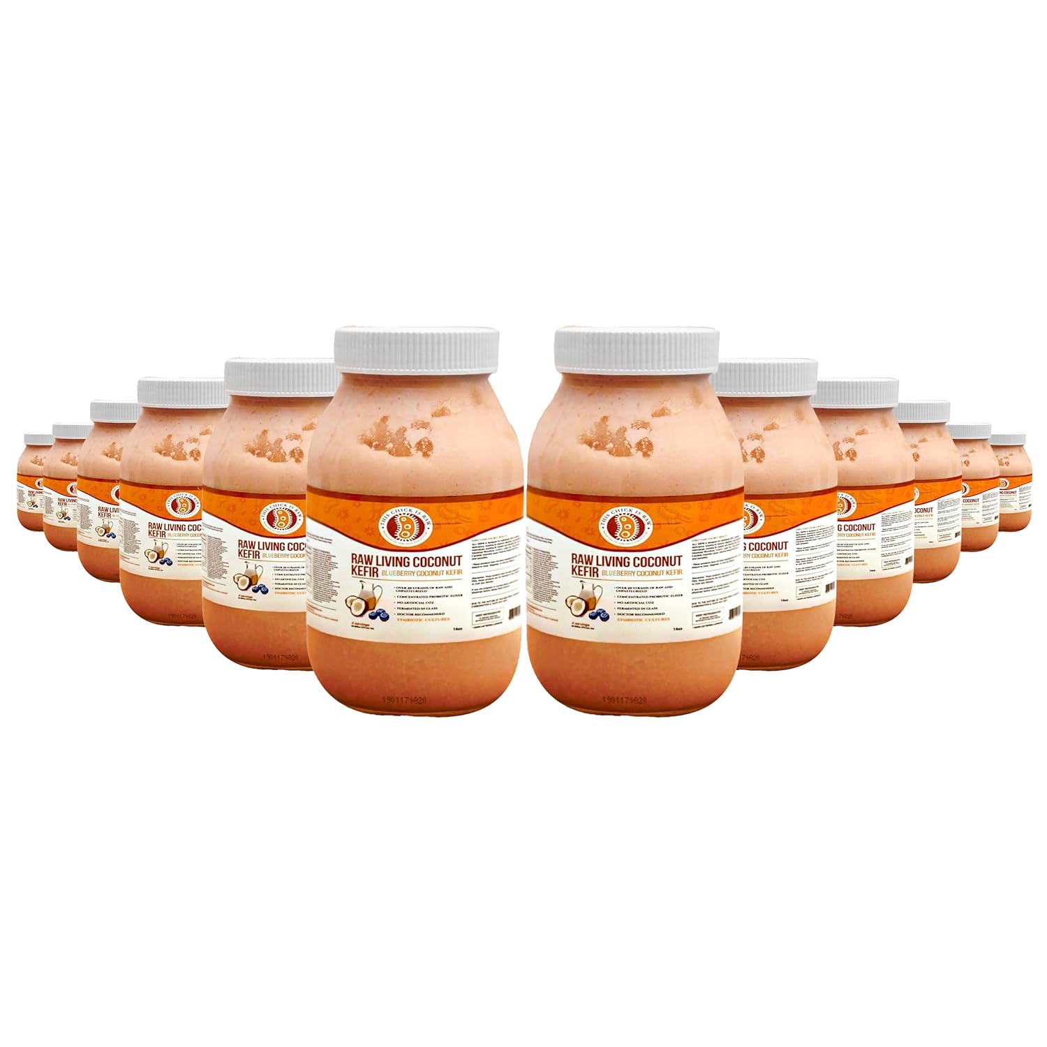 Blueberry Coconut Milk Kefir – 5-Day Fermented, Vegan Probiotic Superfood for Gut & Digestive Health – Dairy-Free, Low Sugar | by This Chick Is Raw (Gallon)