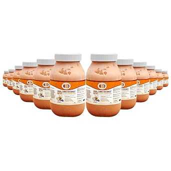 Blueberry Coconut Milk Kefir 5-Day Fermented, Vegan Probiotic Superfood for Gut & Digestive Health Dairy-Free, Low Sugar | by This Chick Is Raw Gallon