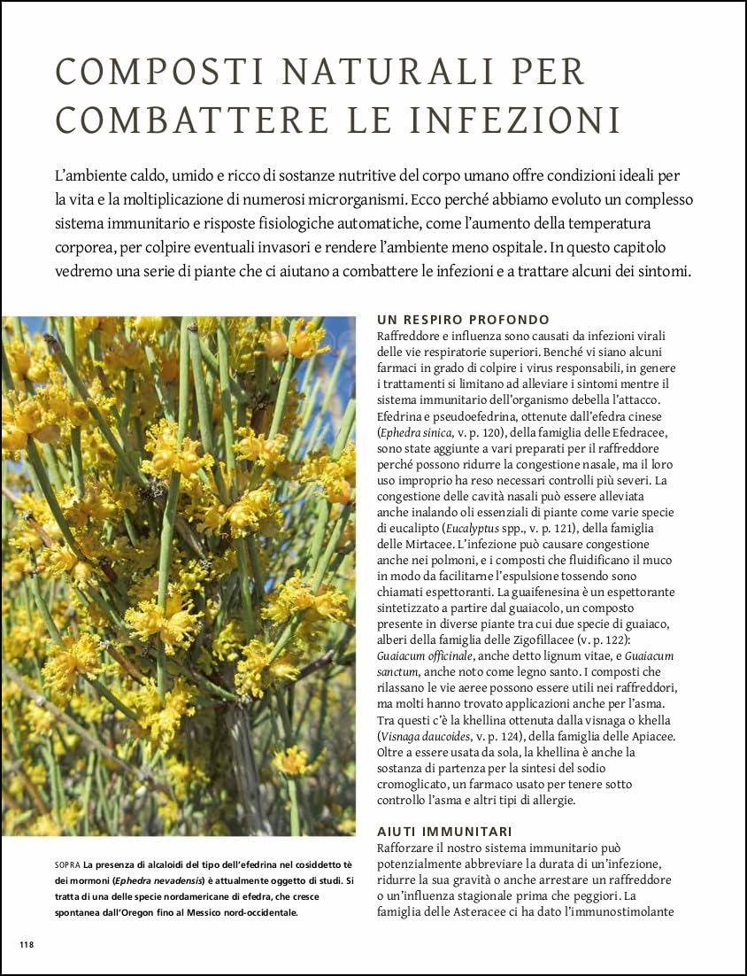 Piante che curano. Le piante come fonte di medicine. Dai farmaci ai rimedi erboristici