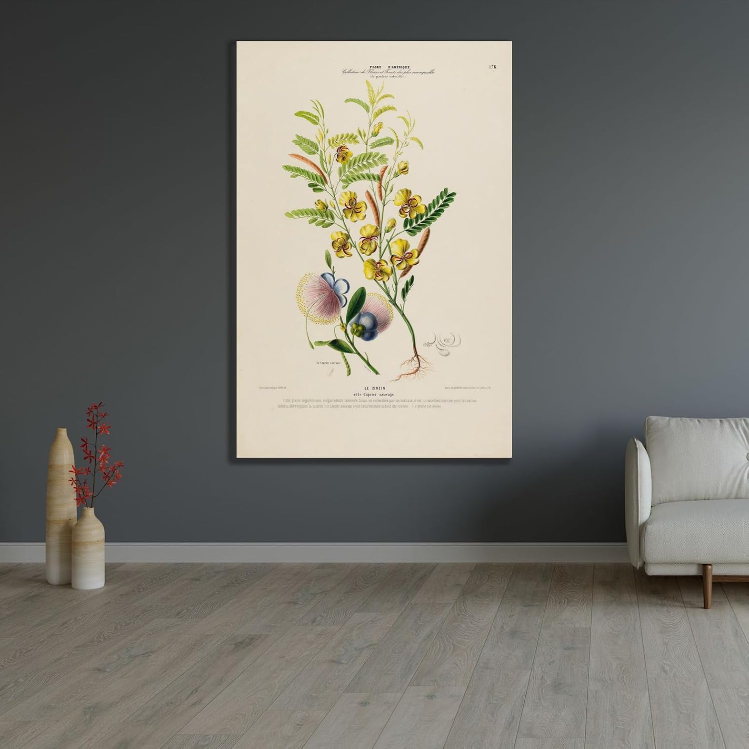 ArtDirect Flora of America, drawn from nature on the spot Pl.176 (1843) Unframed Art Print Giclee Poster by Etienne Denisse - Ready for Framing with Customization Sizes 7x10, 9x14, 13x20, 24x36, 32x48 and 40x60 inches