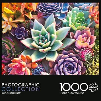 Buffalo Games - Simple Succulent - James Mertke - 1000 Piece Jigsaw Puzzle for Adults - Challenging Puzzle for Game Nights - Vibrant Plant Artwork - Finished Size 26.75 x 19.75 - Made in the USA