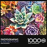 Buffalo Games James Mertke Simple Succulent 1000 Piece Jigsaw Puzzle - 26.75 x 19.75 in, Rectangular...