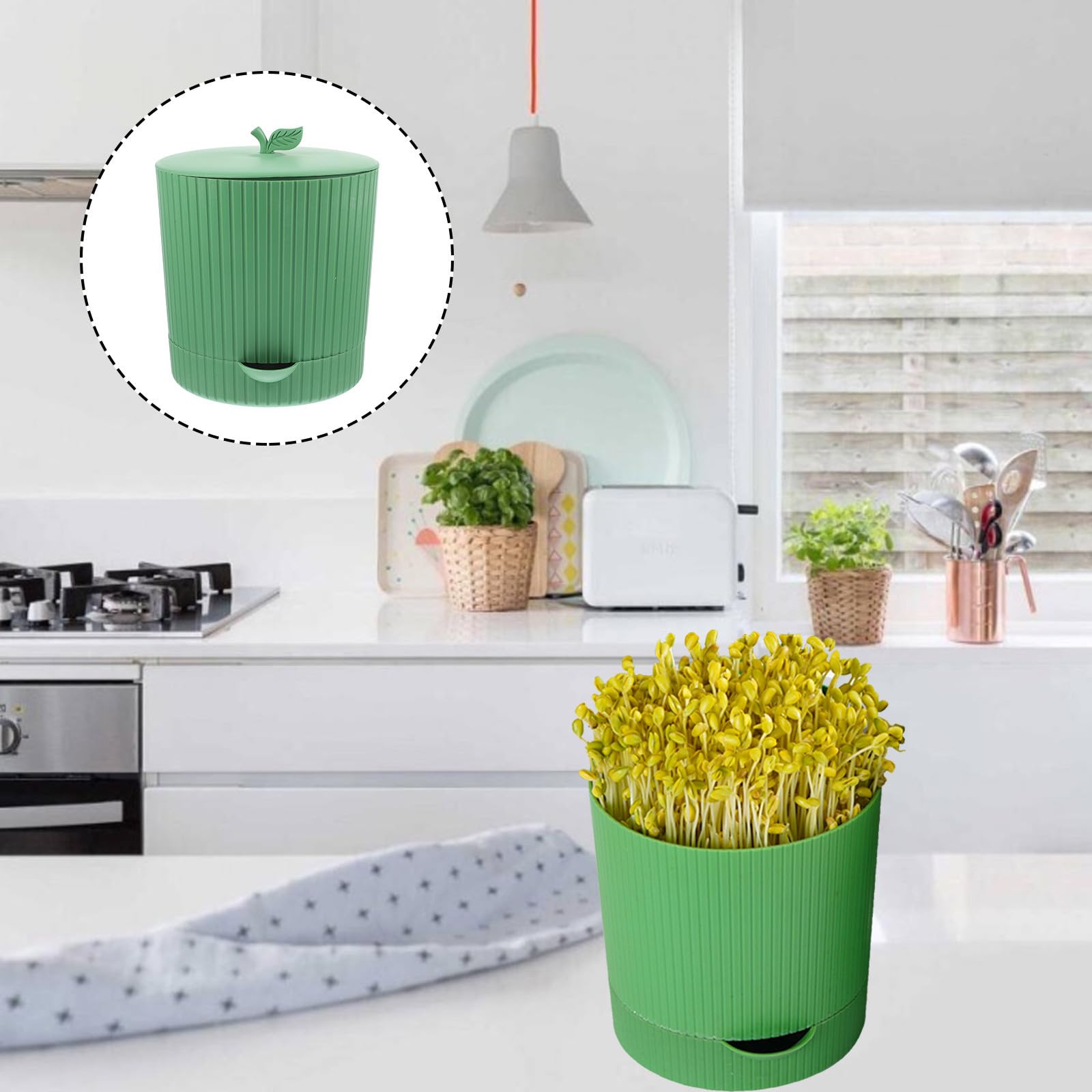 Barattolo per Germogli di Fagioli Verde in Pp e Pietra, Riutilizzabile e Traspirante, per Orto e Giardinaggio in Giardino, Kit per Germinazione Semi di Grano e Soia