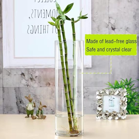 TSKDKIT Extra Large Glass Vase for Flowers 40cm Glass Cylinder Vase Thickened Clear Vases for Living Room Modern Large Vases 40 x 12cm