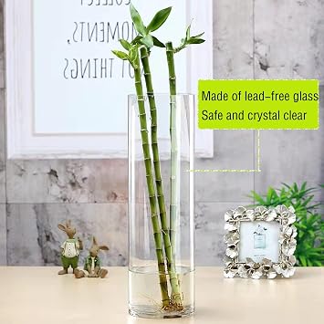 TSKDKIT Extra Large Glass Vase for Flowers 40cm Glass Cylinder Vase Thickened Clear Vases for Living Room Modern Large Vases 40 x 12cm