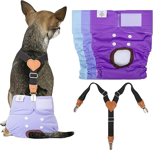 CuteBone Pañales para perras, paquete de 3 pañales reutilizables para perras con un tirante para perros pequeños, medianos y grandes, BDD01L