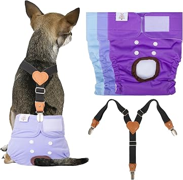 CuteBone Dog Diapers Female 3 Pack Reusable Doggy Diapers with One Suspender for Small Medium Large Dog Period BDD01S