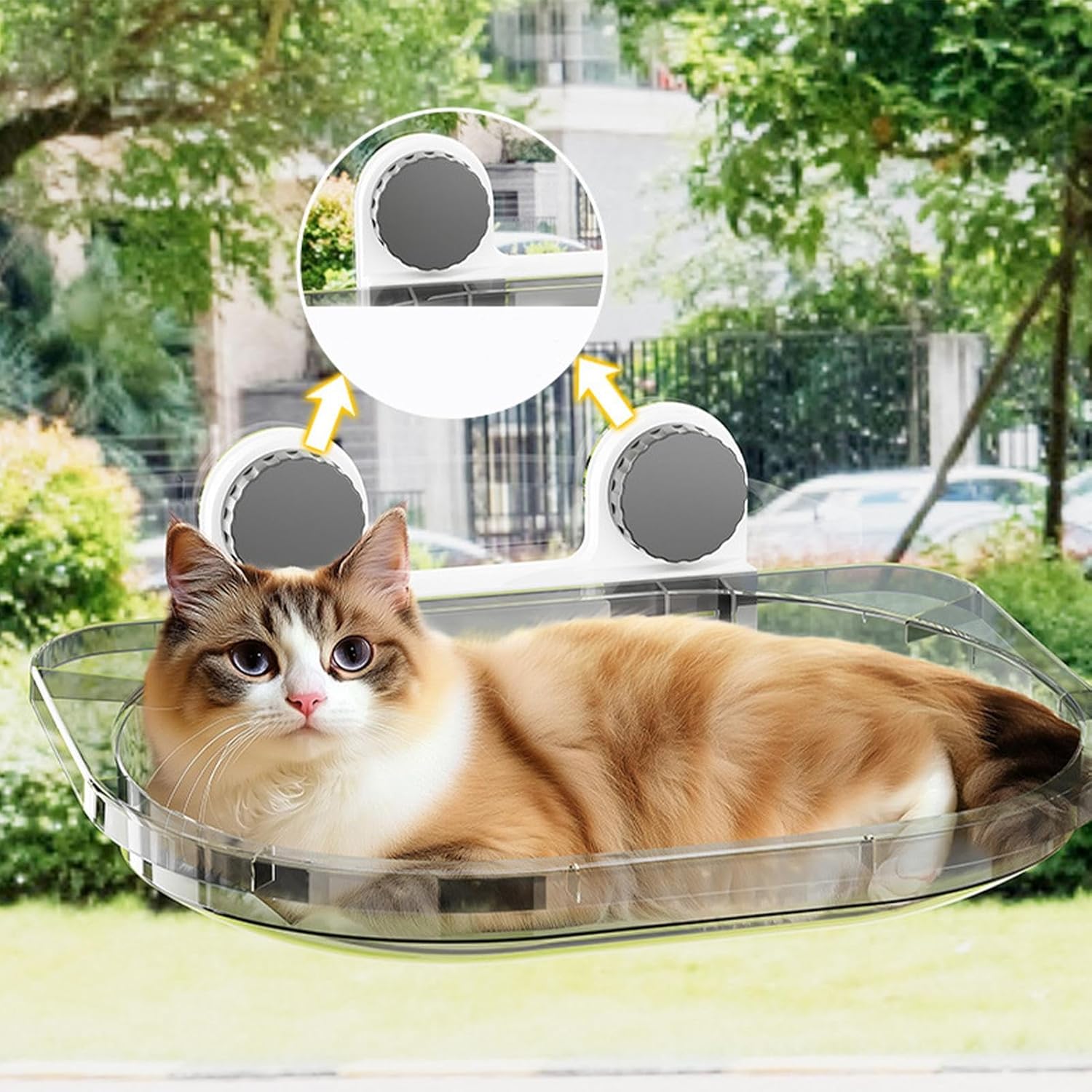 Transparent Cat Window Perch, Window Mounted Cat Seat, Indoor Hammock Feature, Acrylic Clear Perch with Strong Suction Cups, Pet Seat for Large Cats, Home Use for Lounging Sunbathing