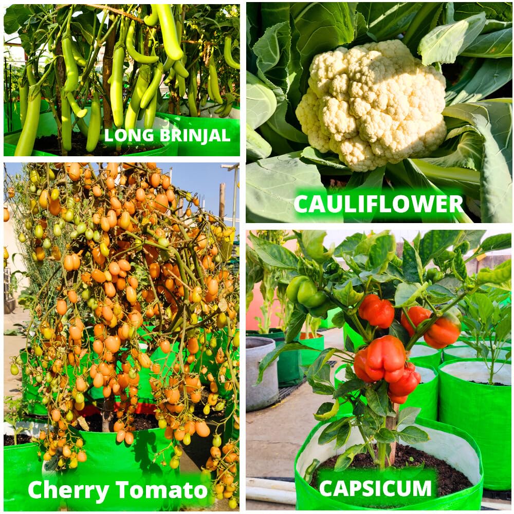 ORGANIC BAZAR 15x15 Grow Bag for Terrace Garden, Premium HDPE 260 GSM Green Plant Bags (Pack of 5) 4